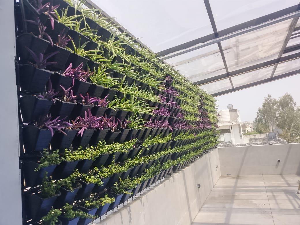 Natural vertical wall project
